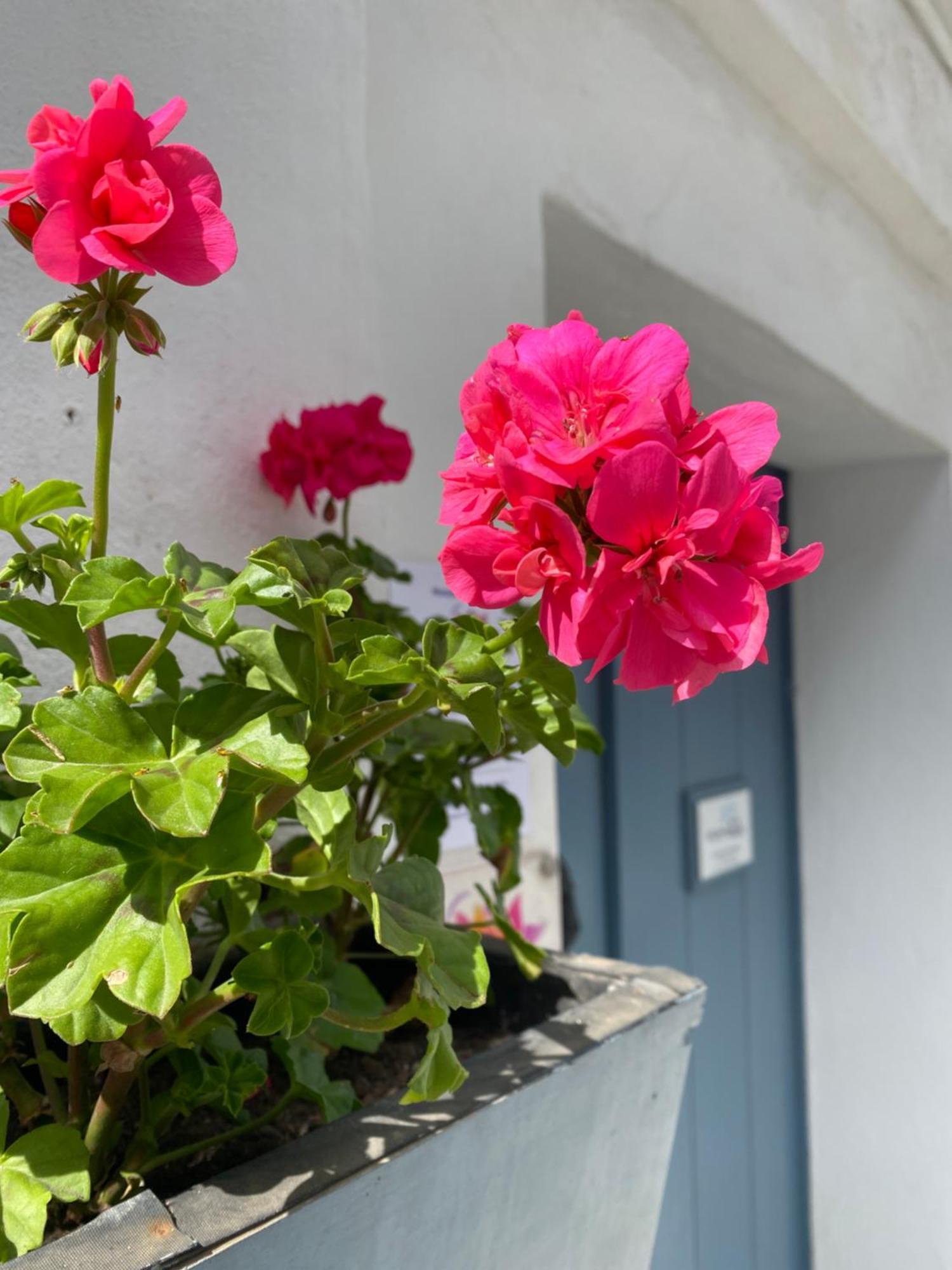 Victoria Seis Hotel Medina-Sidonia Kültér fotó